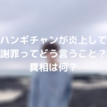 ハンギチャンが炎上して謝罪ってどう言うこと？真相は何？