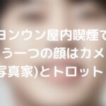 イムヨンウン屋内喫煙で炎上に？もう一つの顔はカメラマン(写真家)とトロット？