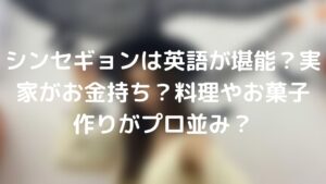 シンセギョンは英語が堪能?実家がお金持ち?料理やお菓子作りがプロ並み?